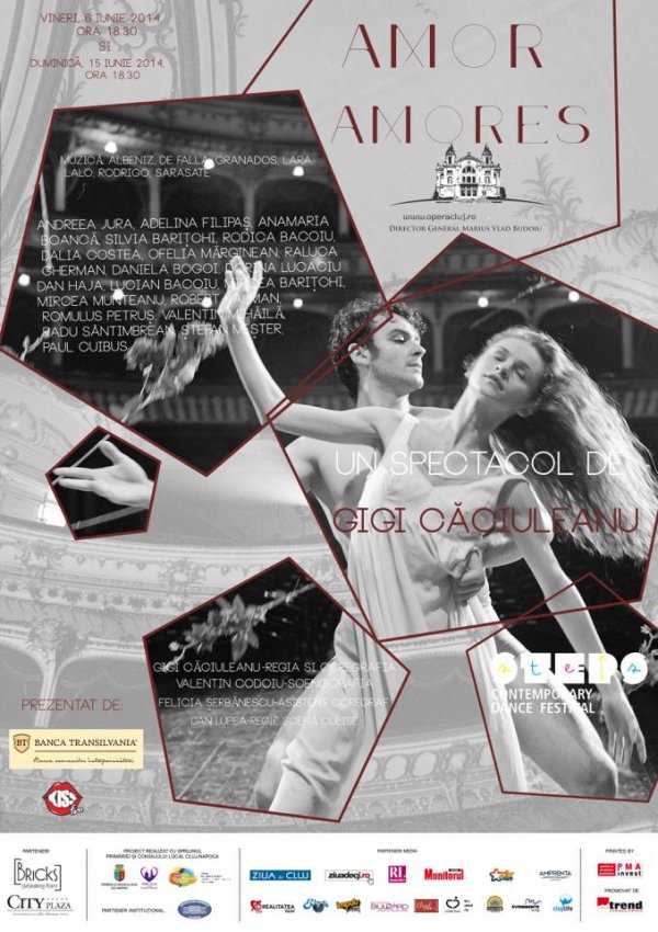 poster amor amores