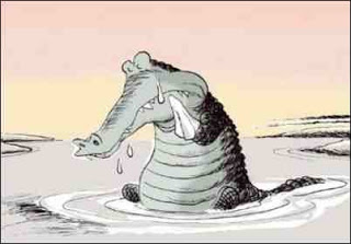 crocodil