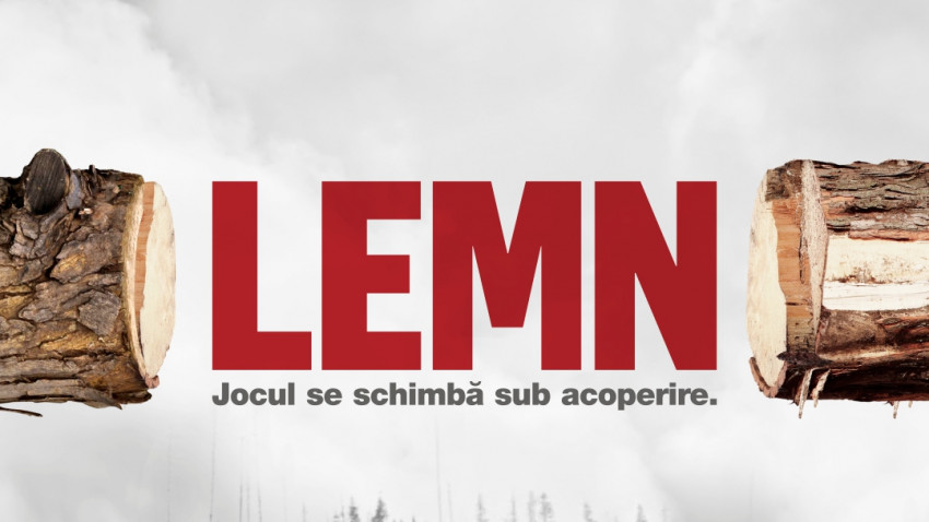 TIFF 2020, documentare: Lemn