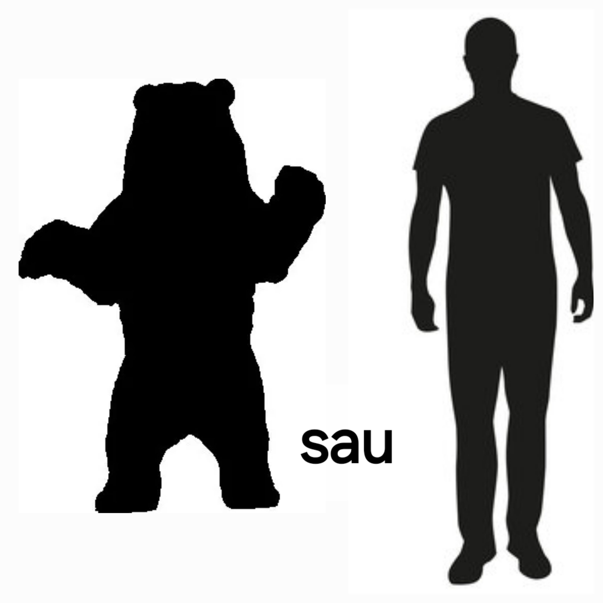 Chestiunea ”Man or bear?”