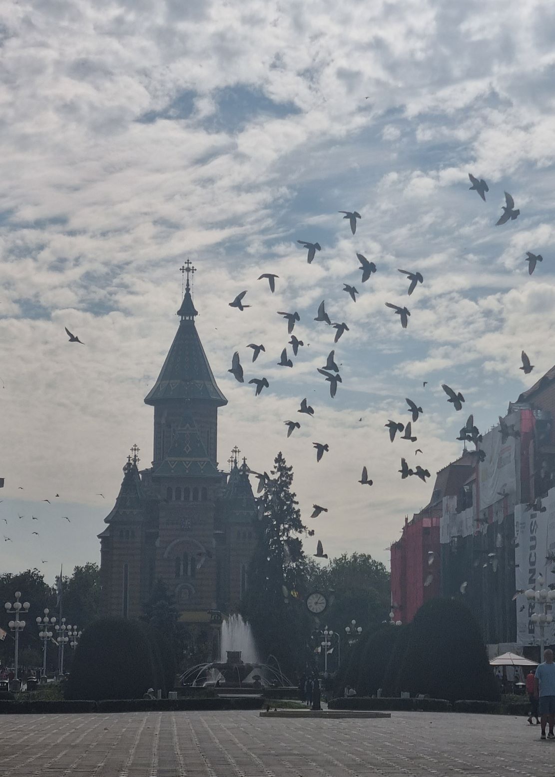 Timișoara 2023: Poftim cultură!